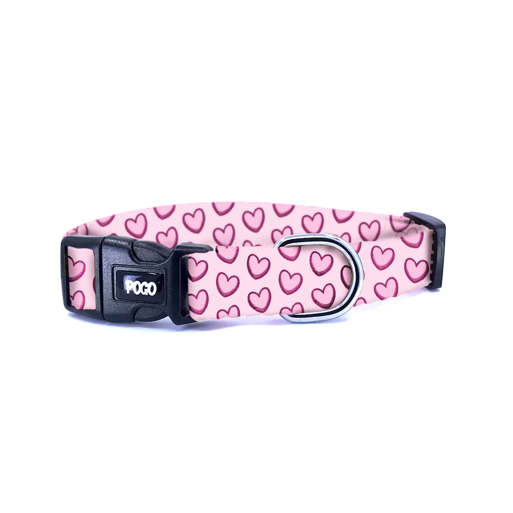 In Love | Köpek Tasması