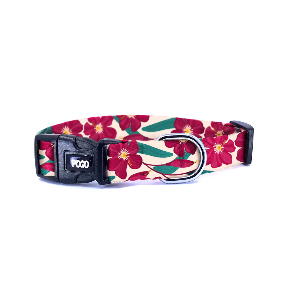 Hibiscus | Köpek Tasması