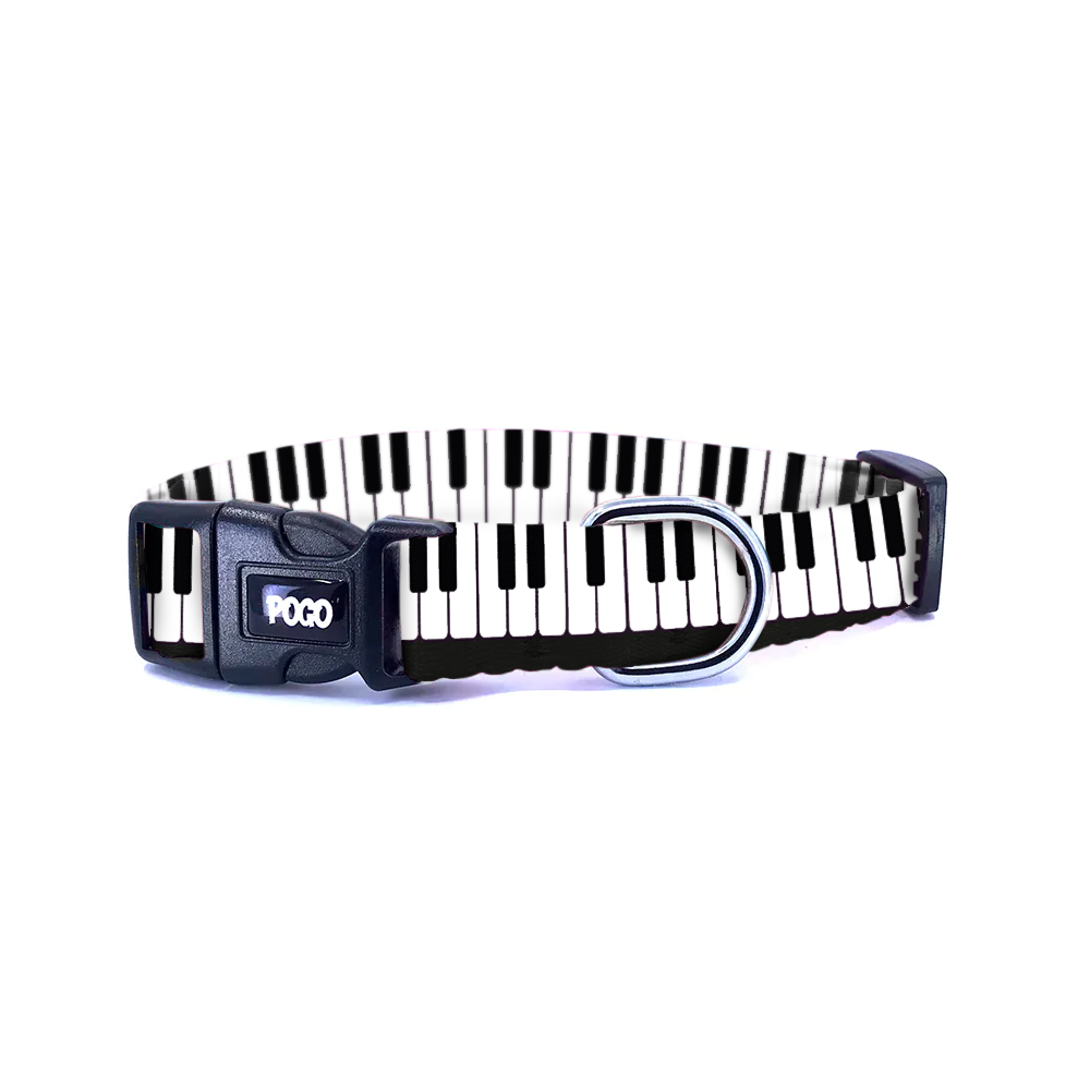 Piano | Köpek Tasması