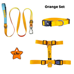 Orange | Tasma ve Künye Seti - Evcil hayvanlar için mükemmel bir ürün.