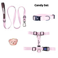 Candy | Tasma ve Künye Seti - Evcil hayvanlar için mükemmel bir ürün.