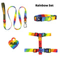 Rainbow | Tasma ve Künye Seti - Evcil hayvanlar için mükemmel bir ürün.