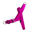Fuschia EasyFit Köpek Tasması