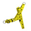 Flash EasyFit Köpek Tasması