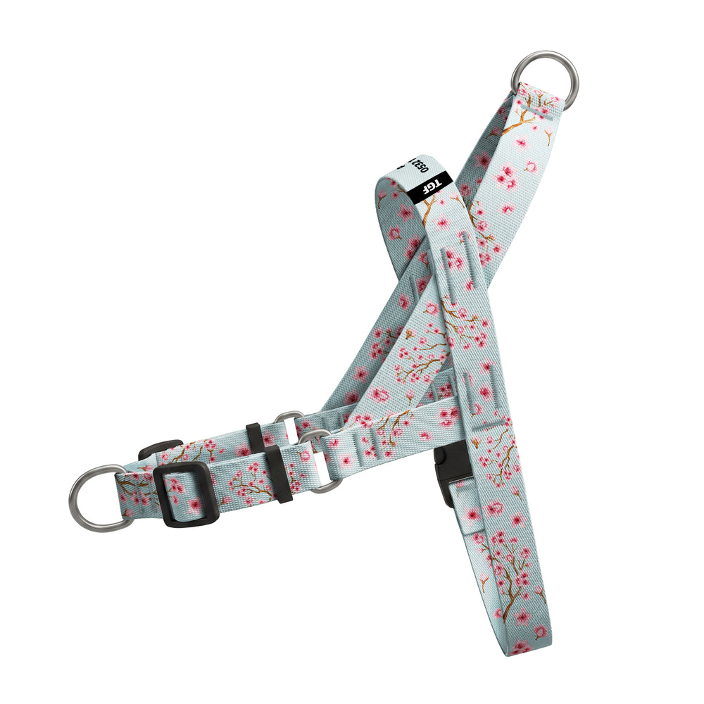 Sakura EasyFit Köpek Tasması