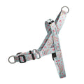 Sakura EasyFit Köpek Tasması