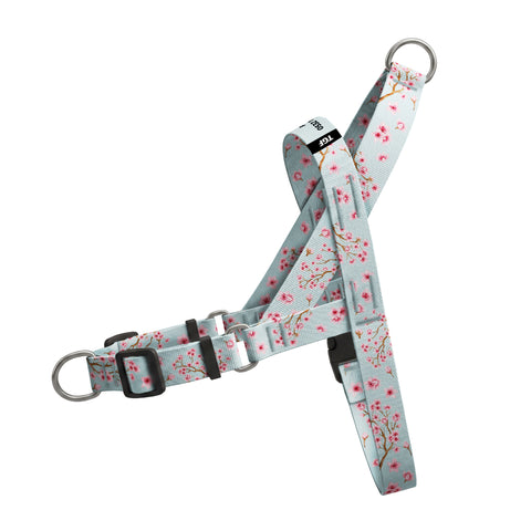 Sakura EasyFit Köpek Tasması