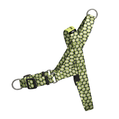 Kiwi EasyFit Köpek Tasması