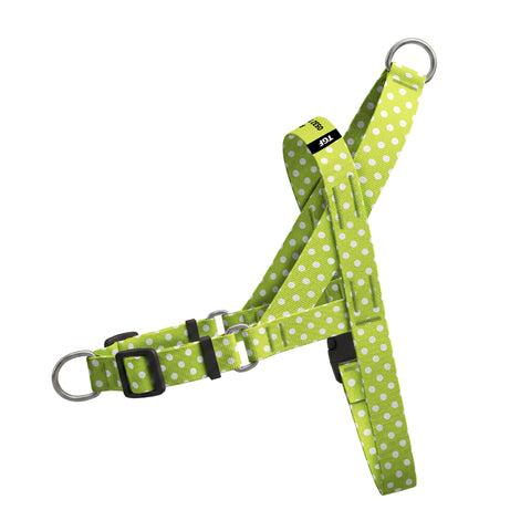 Polka Fıstık Yeşili EasyFit Köpek Tasması