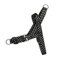 Polka Siyah EasyFit Köpek Tasması