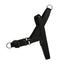 Black EasyFit Köpek Tasması