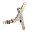 Sky Arc EasyFit Köpek Tasması