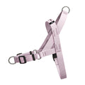 Candy EasyFit Köpek Tasması