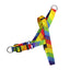 Rainbow EasyFit Köpek Tasması