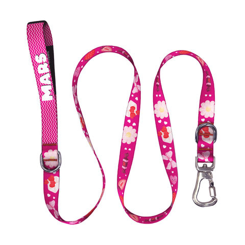 Vale Pembe | Gezdirme Kayışı