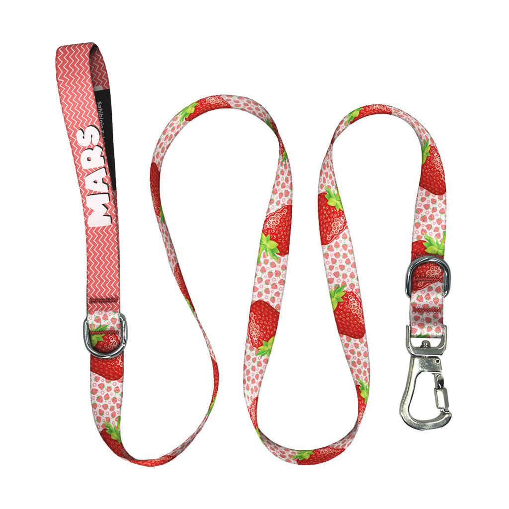 Strawberry | Gezdirme Kayışı - Evcil hayvanlar için mükemmel bir ürün.