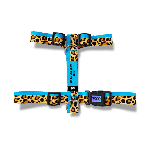 Leopard Mavi | Köpek Göğüs Tasması
