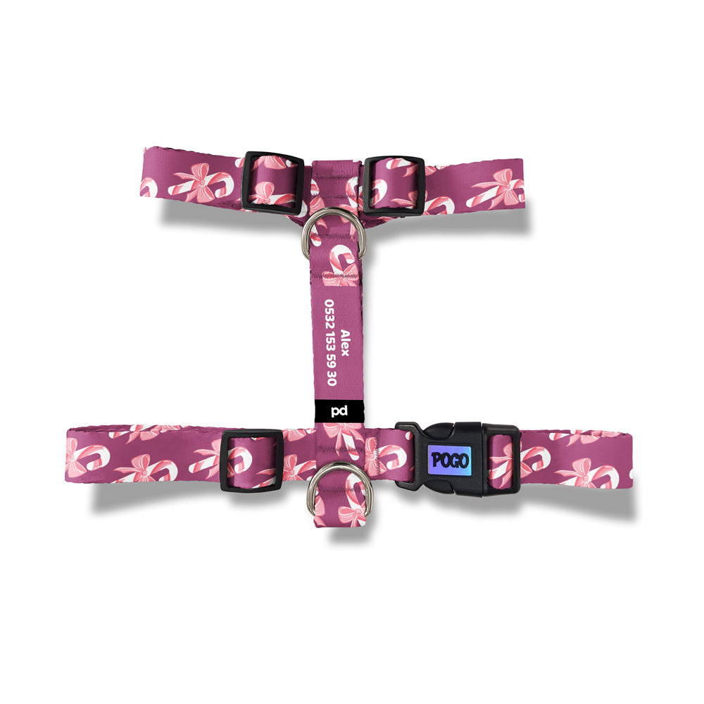 Pinky Candy | Köpek Göğüs Tasması