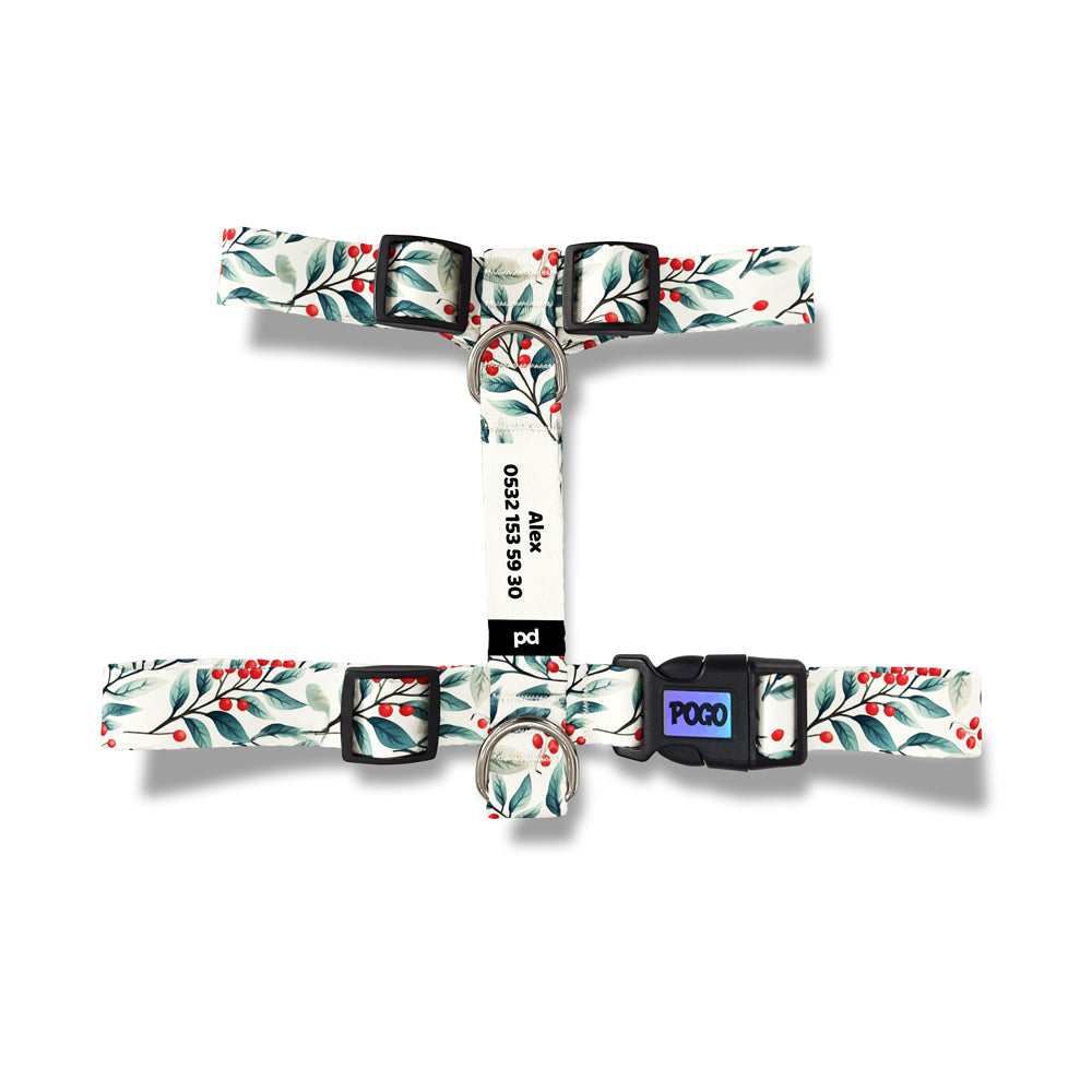 New Year Time | Köpek Göğüs Tasması