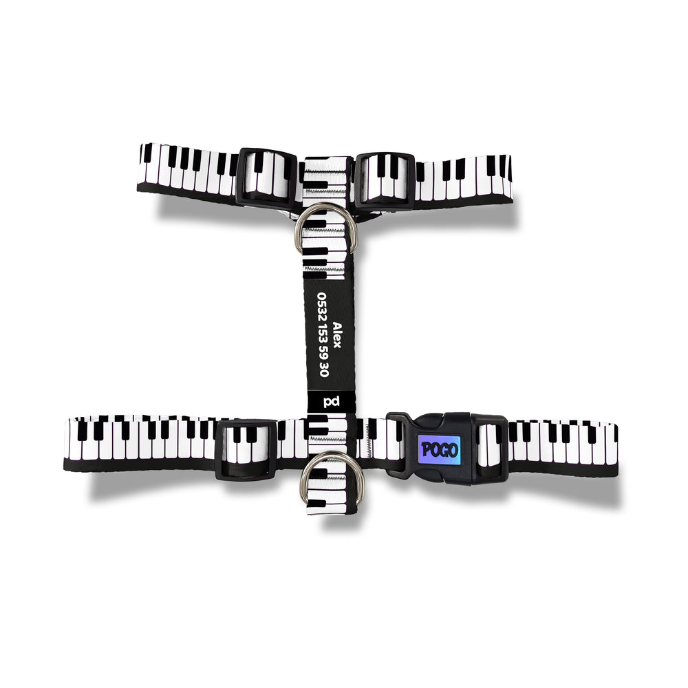 Piano | Köpek Göğüs Tasması