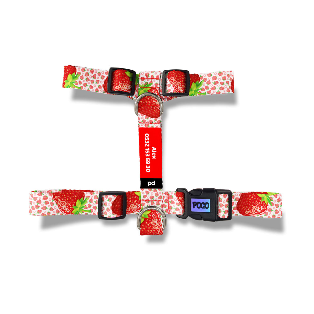 Strawberry | Köpek Göğüs Tasması - Evcil hayvanlar için mükemmel bir ürün.