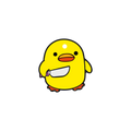 Chick | İsimlik - Evcil hayvanlar için mükemmel bir ürün.