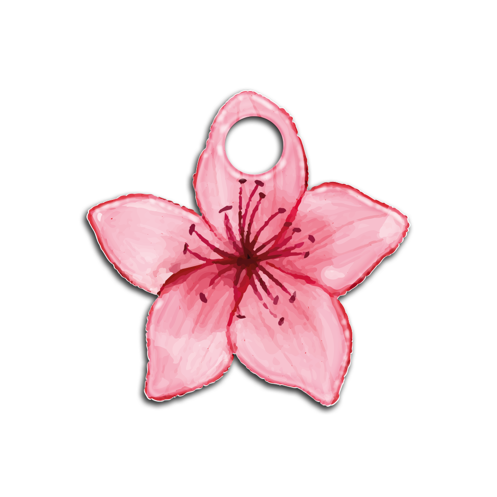 Sakura | İsimlik