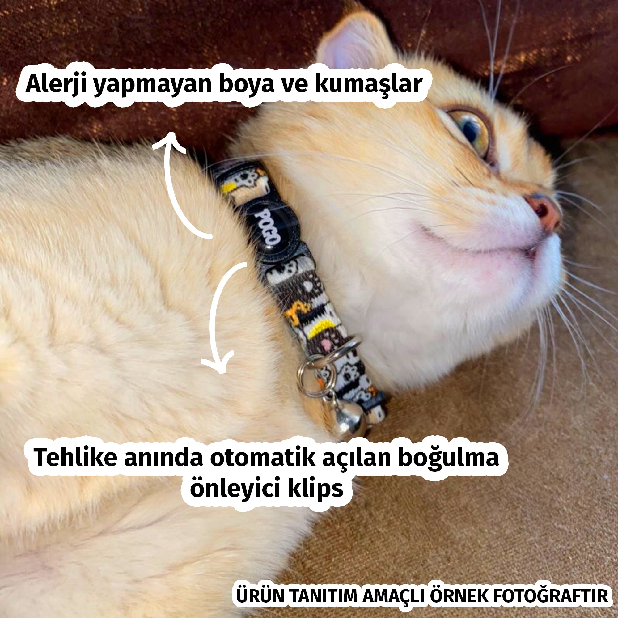 Sakura | Kedi Tasması