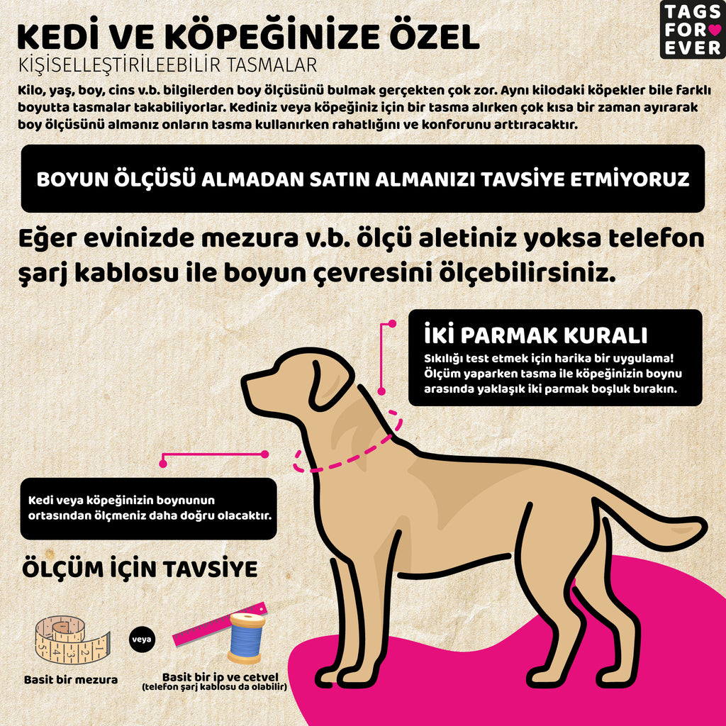Rainbow | Köpek Tasması