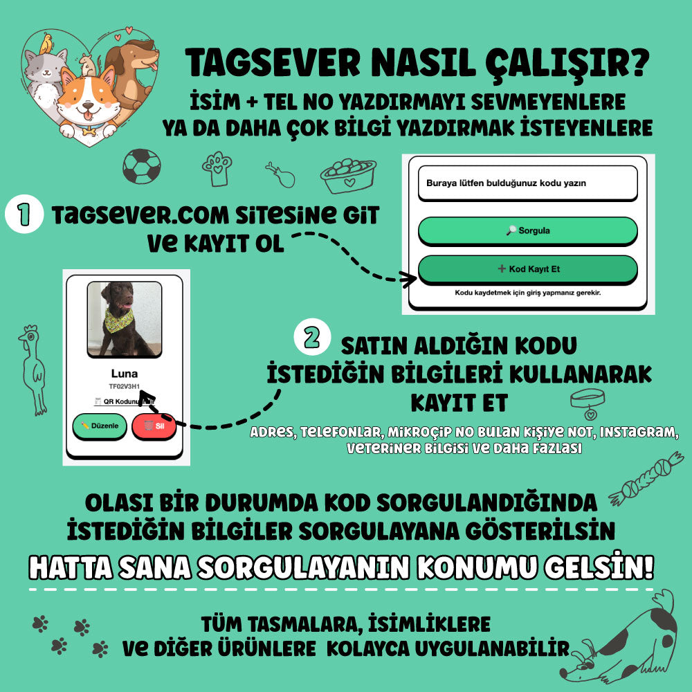 Tagsever.com Kodu