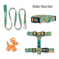Ballo Sea Tasma ve Künye Seti – Set fotoğrafı