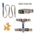 Ballo Violet Tasma ve Künye Seti – Set fotoğrafı