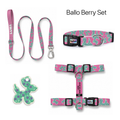 Ballo Berry Tasma ve Künye Seti – Set fotoğrafı