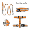 Spot Orange Tasma ve Künye Seti – Set fotoğrafı