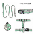 Spot Mint Tasma ve Künye Seti – Set fotoğrafı