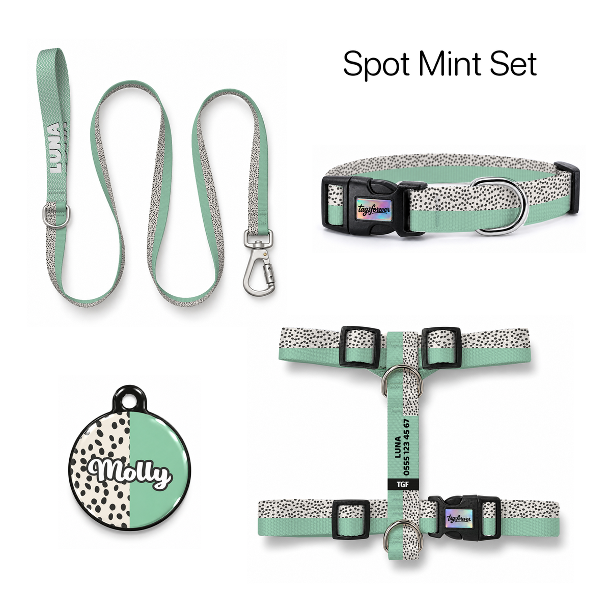 Spot Mint Tasma ve Künye Seti – Set fotoğrafı