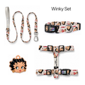 Winky Tasma ve Künye Seti – Set fotoğrafı