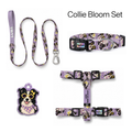Collie Bloom Tasma ve Künye Seti – Set fotoğrafı