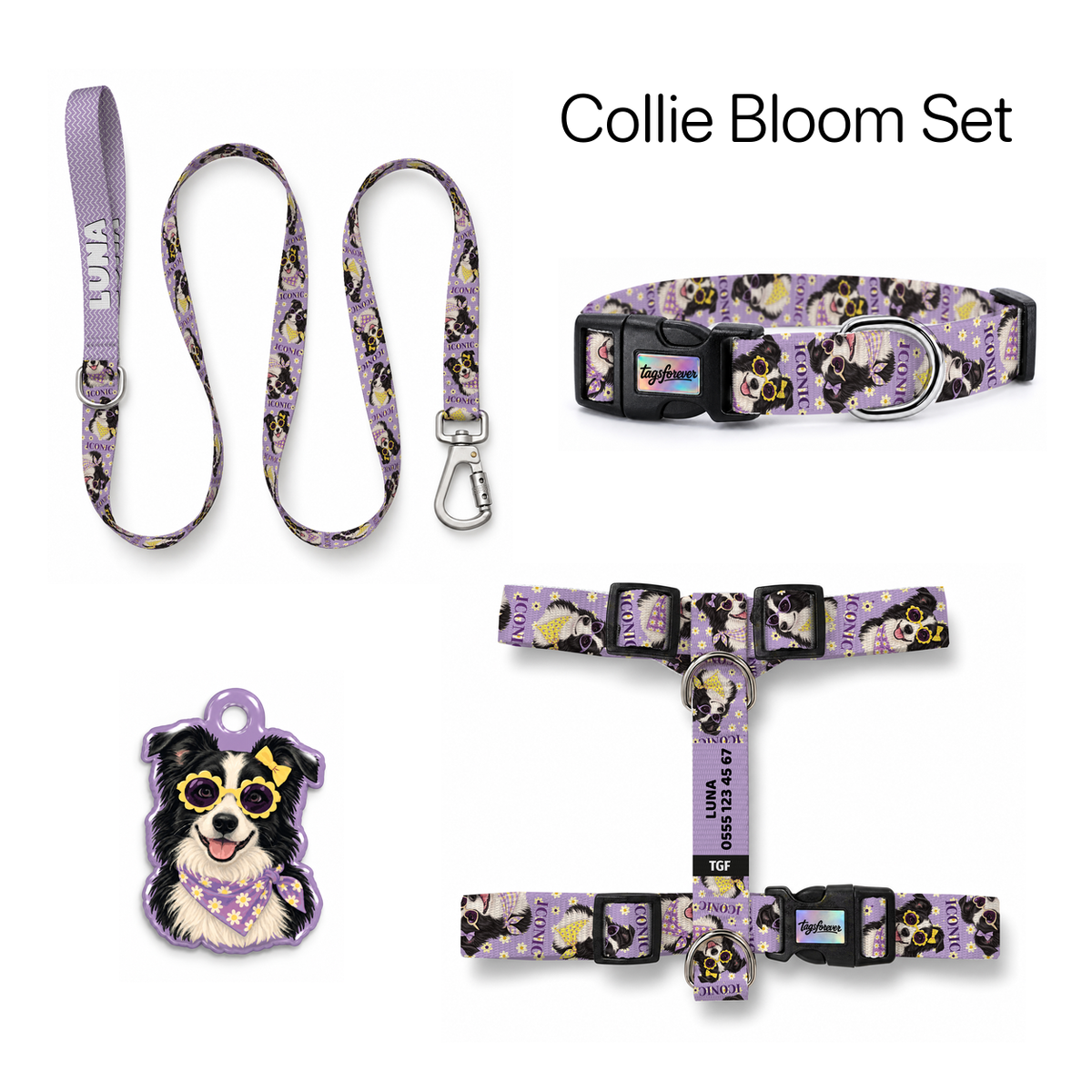 Collie Bloom Tasma ve Künye Seti – Set fotoğrafı