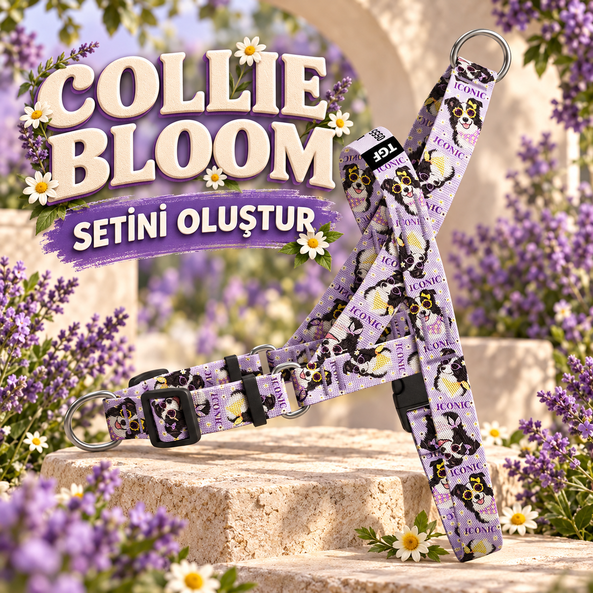 Collie Bloom Set Oluştur – Set Oluştur görseli