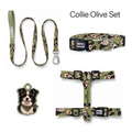 Collie Olive Tasma ve Künye Seti – Set fotoğrafı