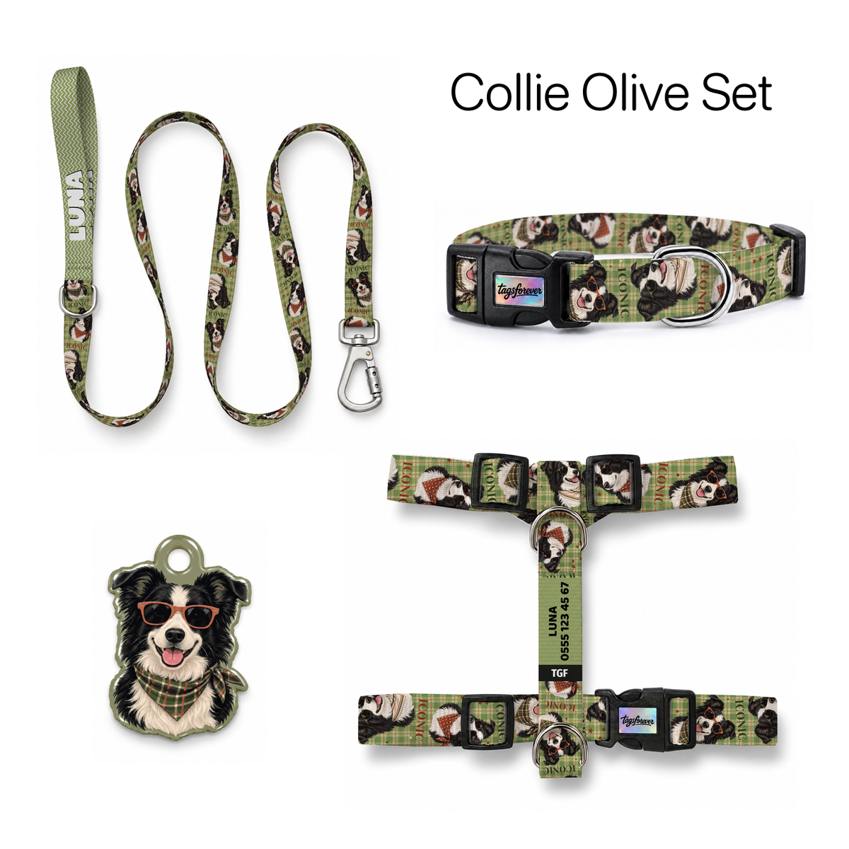 Collie Olive Tasma ve Künye Seti – Set fotoğrafı