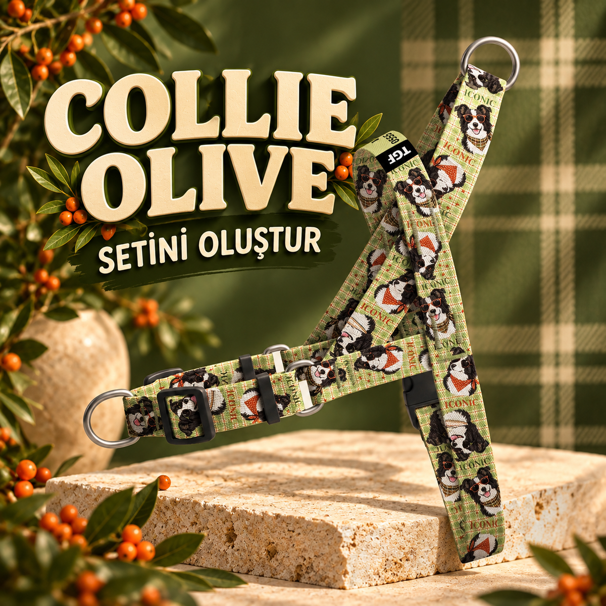 Collie Olive Set Oluştur – Set Oluştur görseli