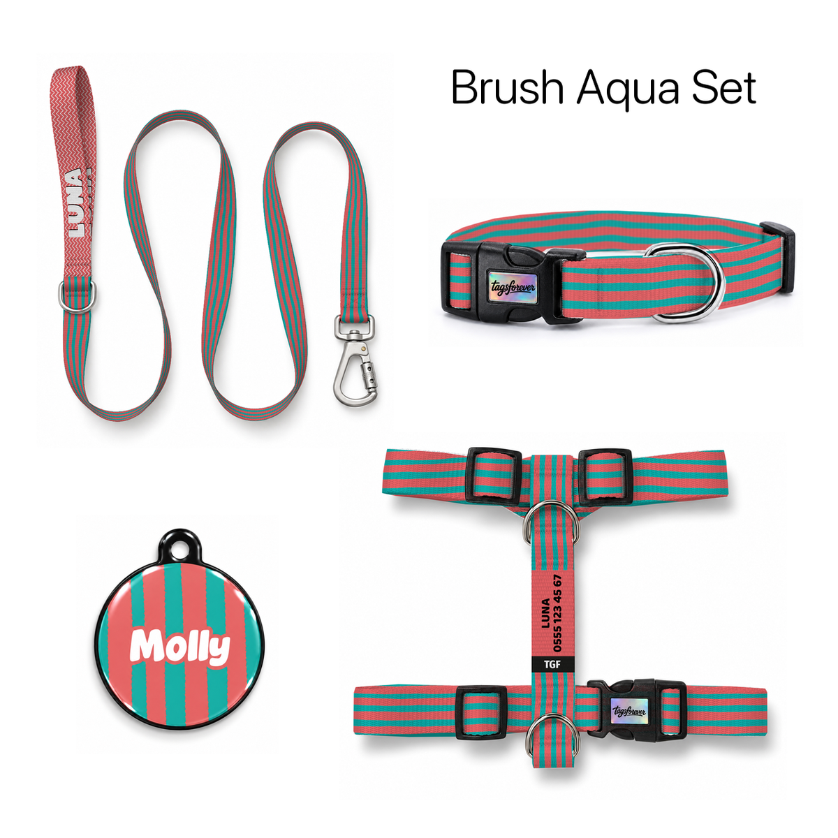 Brush Aqua Tasma ve Künye Seti – Set fotoğrafı