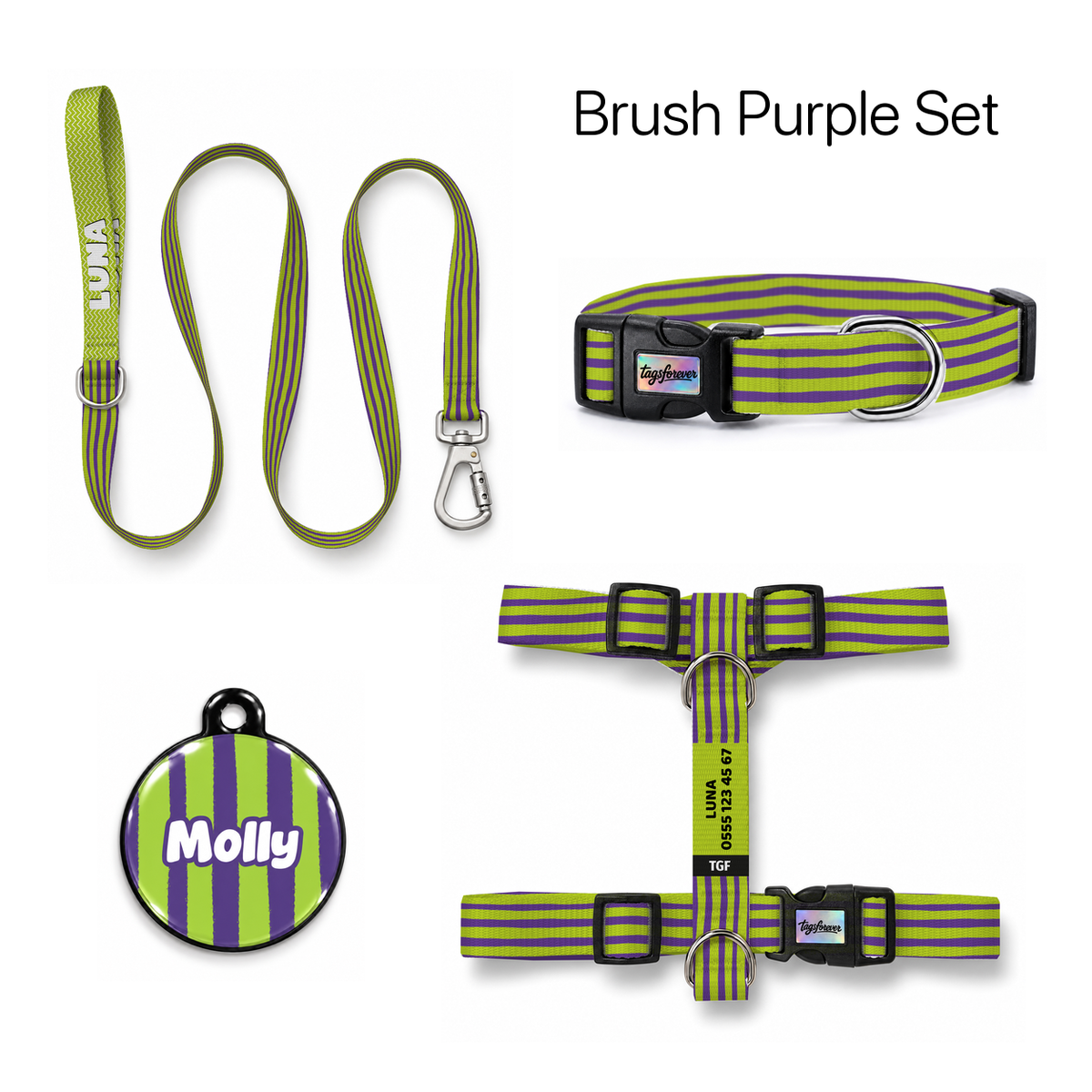 Brush Purple Tasma ve Künye Seti – Set fotoğrafı