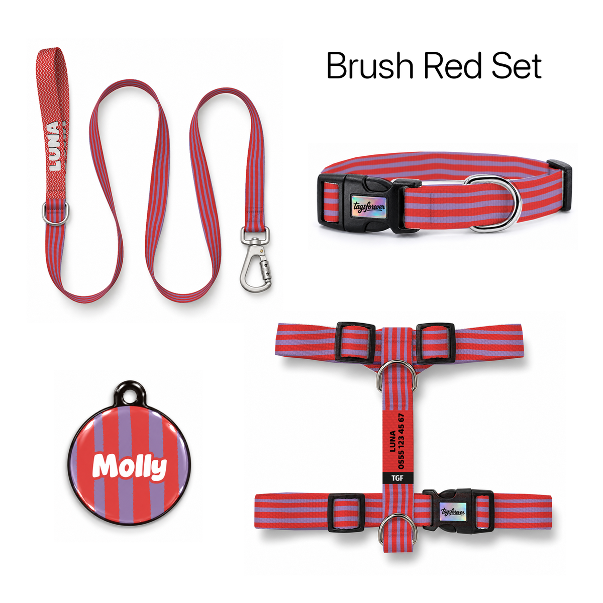 Brush Red Tasma ve Künye Seti – Set fotoğrafı
