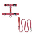 Brush Red | Kedi Gezdirme Setleri – Göğüs tasması ve gezdirme kayışı