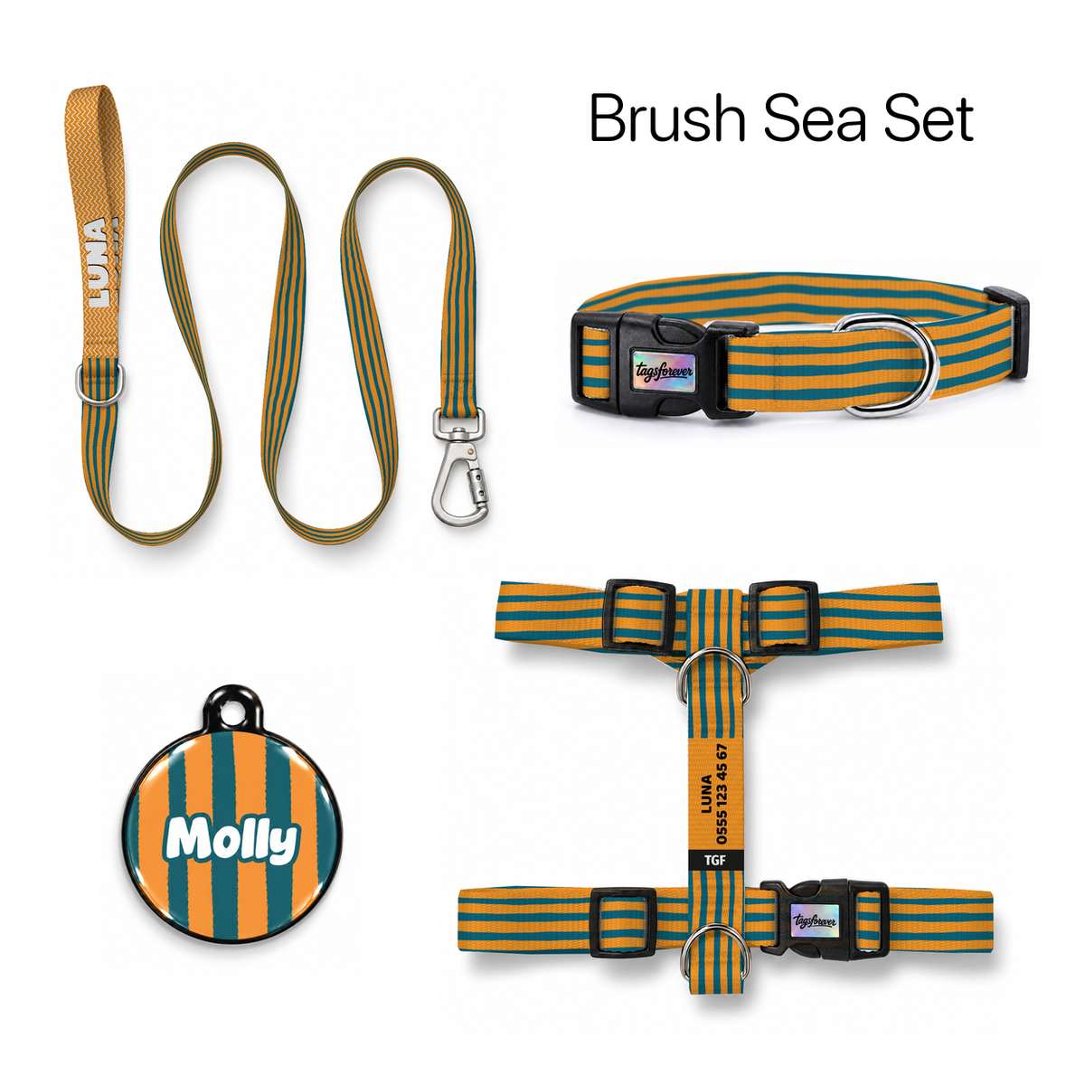 Brush Sea Tasma ve Künye Seti – Set fotoğrafı