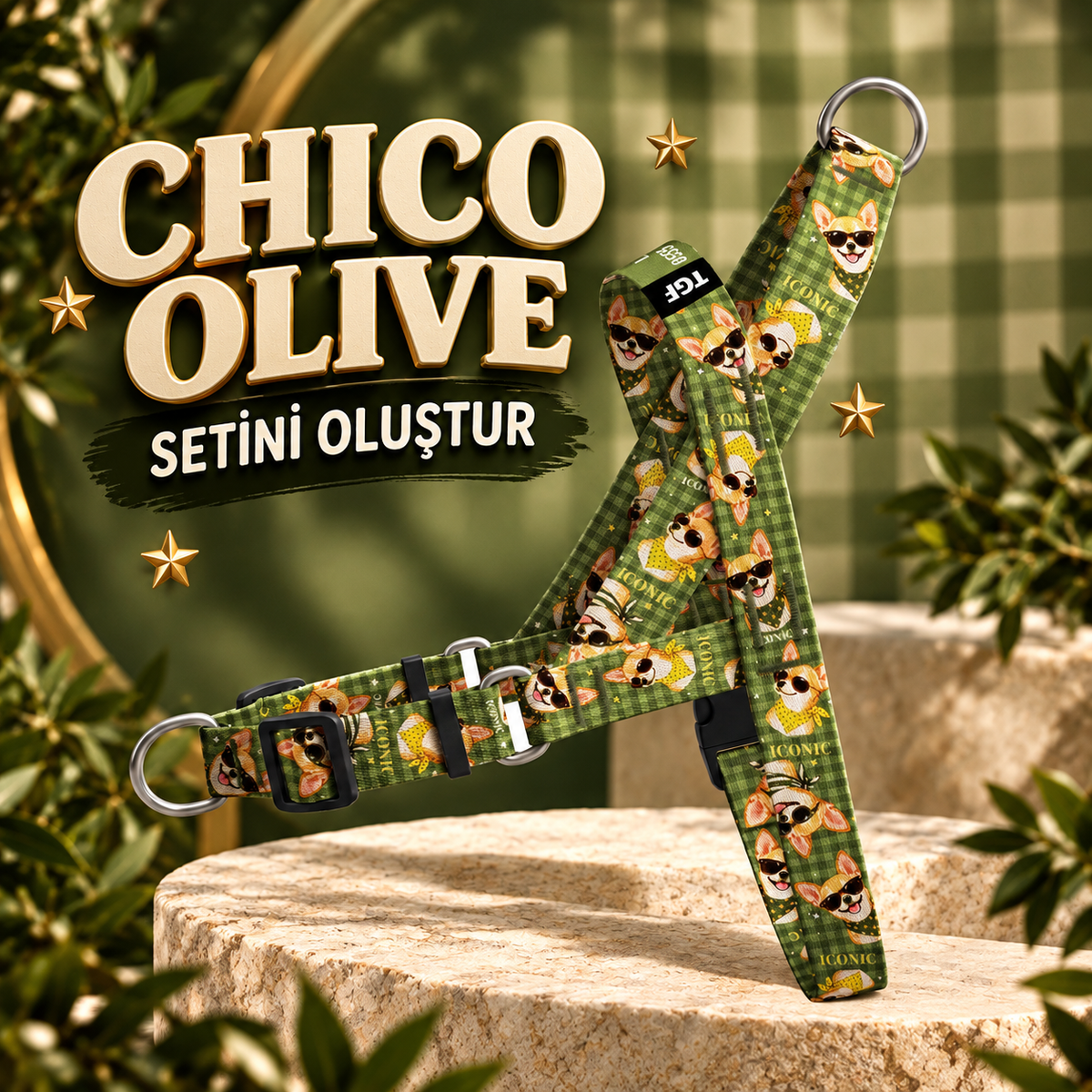 Chico Olive Set Oluştur – Set Oluştur görseli