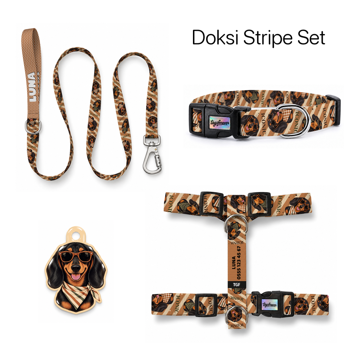 Doksi Stripe Tasma ve Künye Seti – Set fotoğrafı